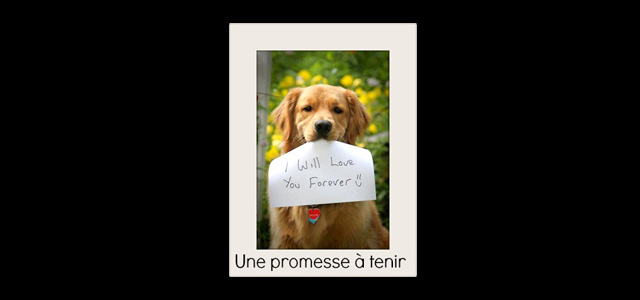 PROMESSE_A_TENIR